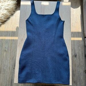 Aritzia Babaton Sculpt Knit Bustier Dress
